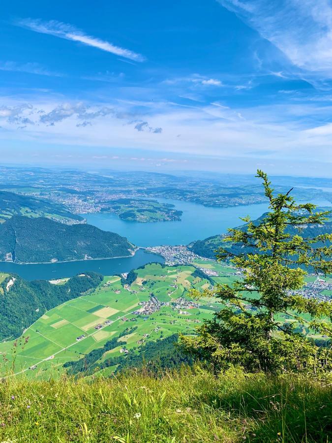 The Swiss Paradise 2 Apartment With Garden, Whirlpool, And Mountain Panorama Wirzweli Eksteriør billede