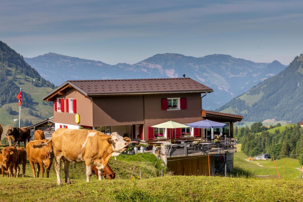 The Swiss Paradise 2 Apartment With Garden, Whirlpool, And Mountain Panorama Wirzweli Eksteriør billede